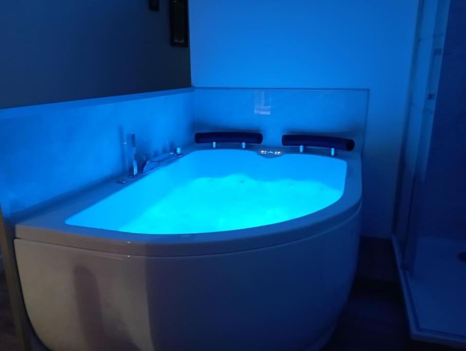 Sejour Sauna Et Jacuzzi Cocon La Roche-sur-Yon Luaran gambar